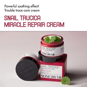 Some By Mi Snail Truecica Miracle Repair Starter Kit