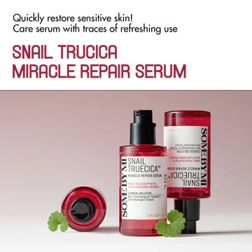 Some By Mi Snail Truecica Miracle Repair Starter Kit